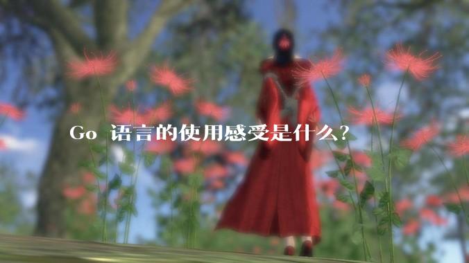 Go 语言的使用感受是什么？