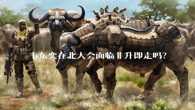 韦东奕在北大会面临非升即走吗？